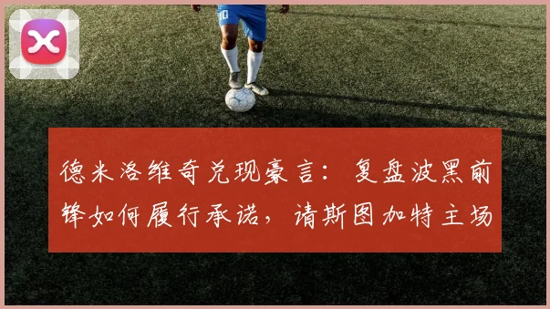 德米洛维奇兑现豪言：复盘波黑前锋如何履行承诺，请斯图加特主场球迷畅饮啤酒